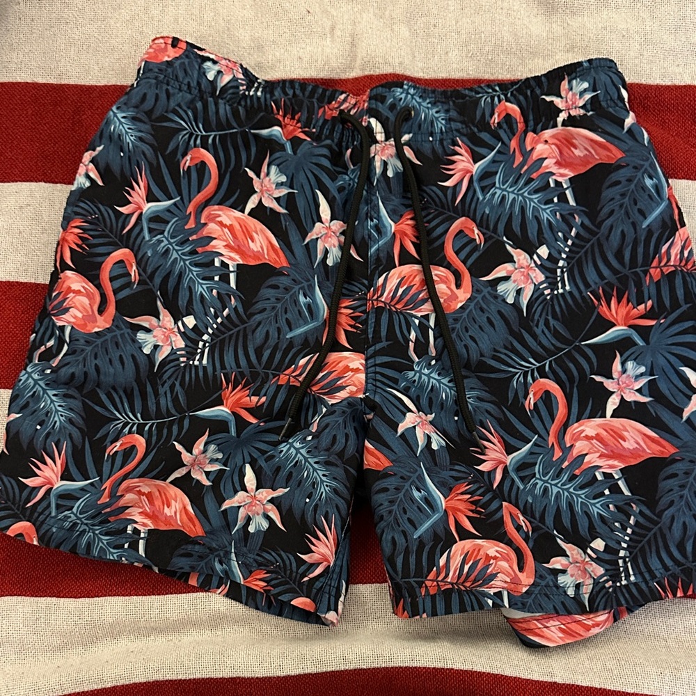 Flamingo Print Men's Swim Shorts